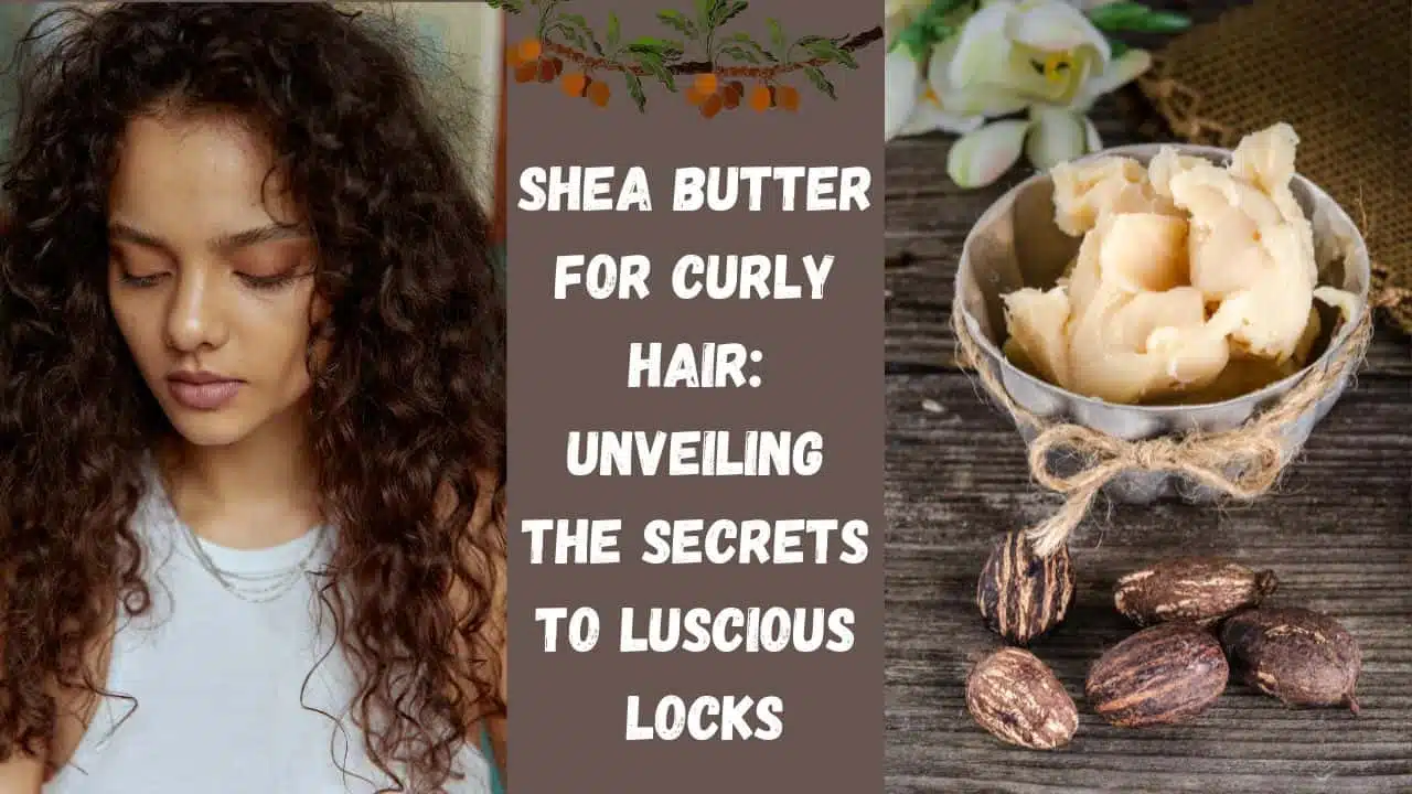 Shea Butter for Curly Hair Unveiling the Secrets to Luscious Locks